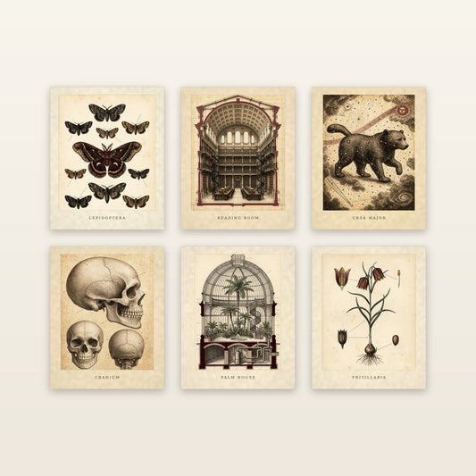The Scholar's Cabinet - printable artwork