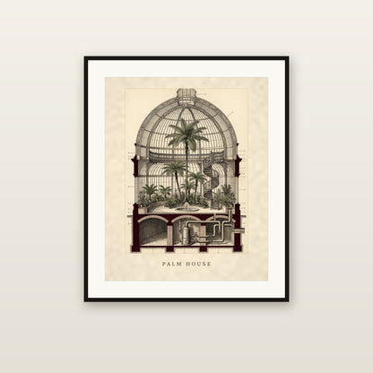 Palm House - framed print mockup