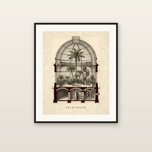 Palm House - framed print mockup
