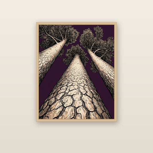 The Norway Pines - framed print mockup