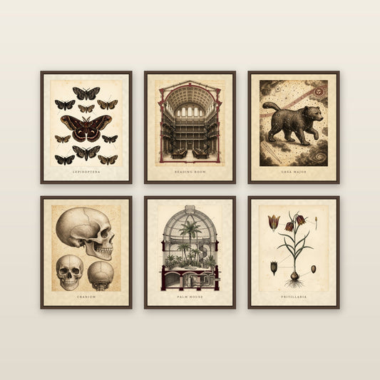 The Scholar's Cabinet - framed print mockup